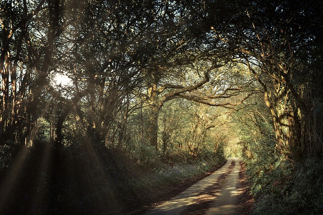 Cornwall Hotels for Beach Roads