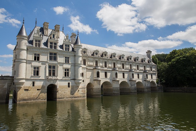Loire Villas Near Castle Roads