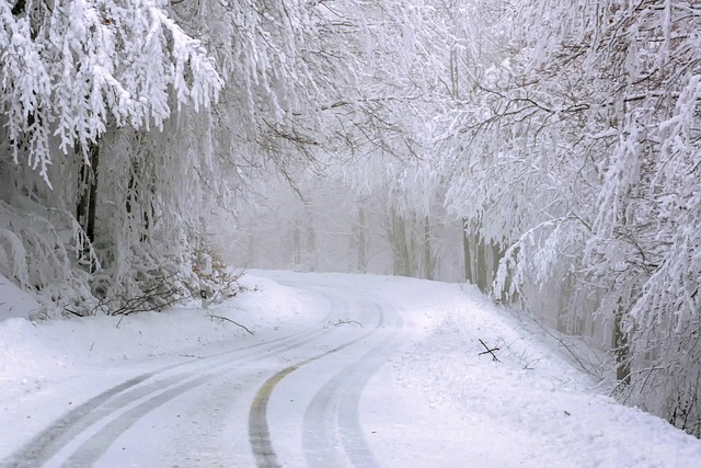 Norway Lodges for Snowy Roads